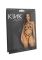 Стрепы-портупея с чокером Leg Avenue Satin elastic harness teddy, One size, Black