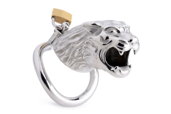 Клетка для пениса Master Series: Tiger King Cock Cage With Lock, три кольца, замок, три ключа