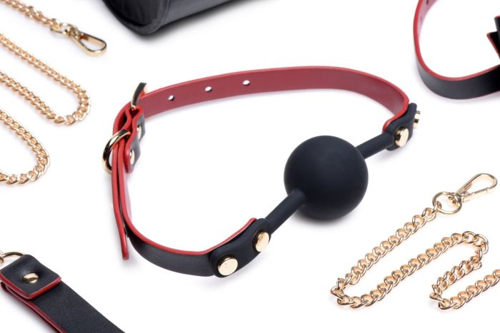 Набор БДСМ с дорожной сумкой Master Series: Bow — Luxury BDSM Set With Travel Bag, 11 предметов