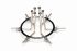 Анальный расширитель Master Series Oculus Stainless Steel Anal Explorer